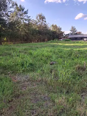 Land for Lease Rent Ruiru Kamakis