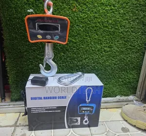 500kg Crane Weighing Scale/Quality 500kg Weighing Crane