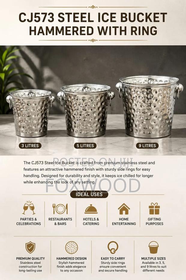 Large Capacity Stainless Steel Ice Bucket 3l