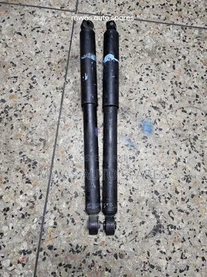 Toyota Passo Rear Shocks