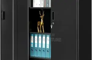 Office Cabinet; Filing Cabinet With Adjustable Shelves