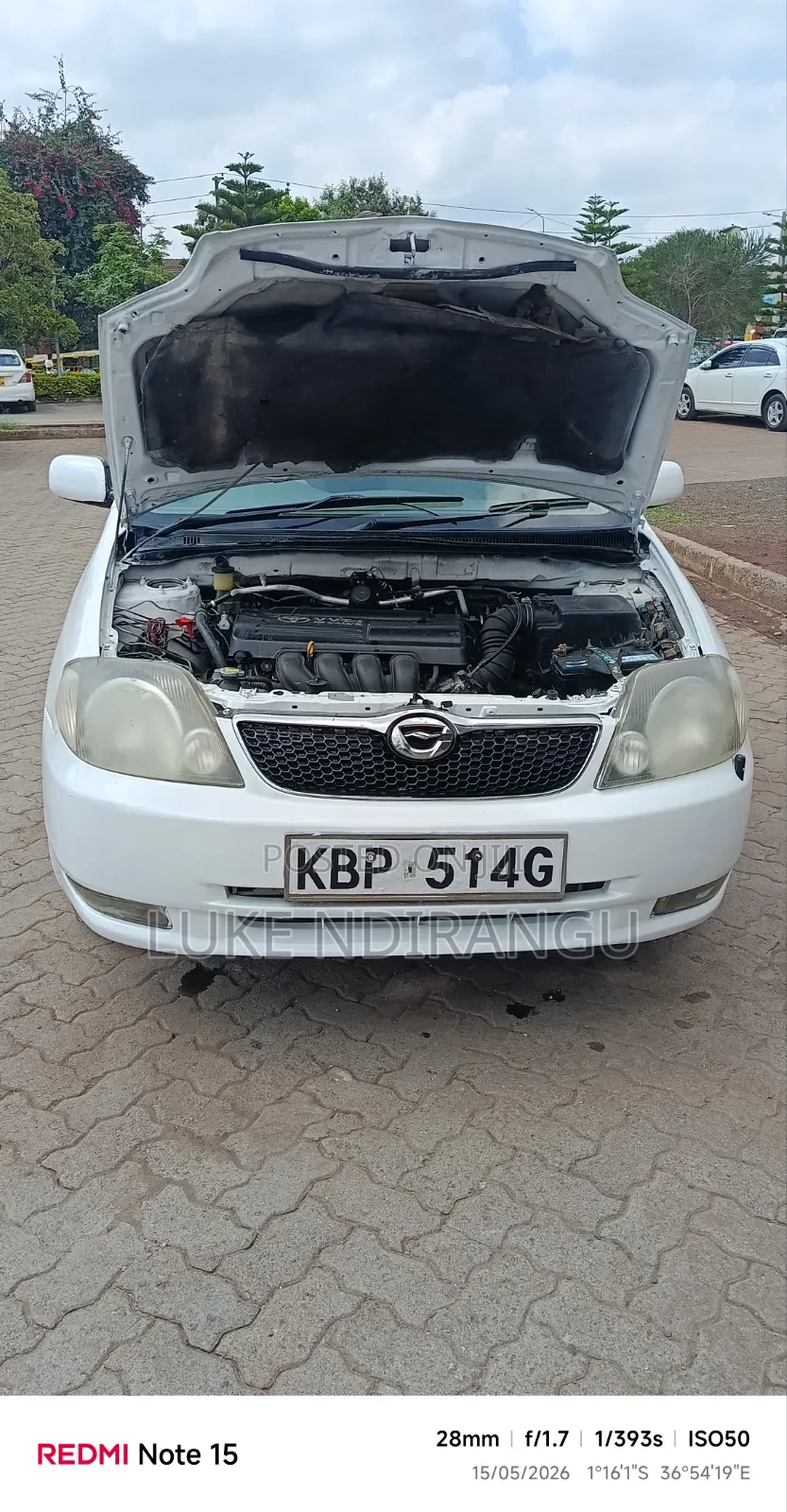Toyota Corolla 2004 White