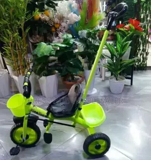 Tricycle With a Parent Push Handle