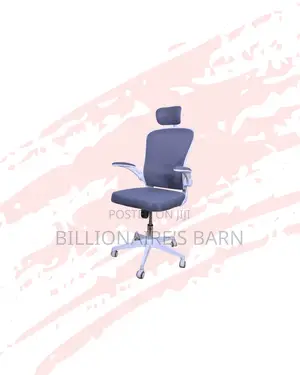Best-Selling Ergonomic Office Chair Adjustable Headrest Now In