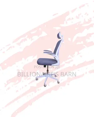 Best-Selling Ergonomic Office Chair Adjustable Headrest Now In