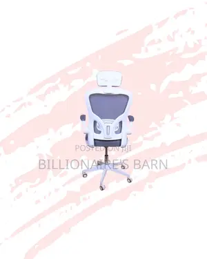 Best-Selling Ergonomic Office Chair Adjustable Headrest Now In
