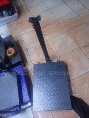 Commercial Weighing Scale 300kg Big Base Platform Scale