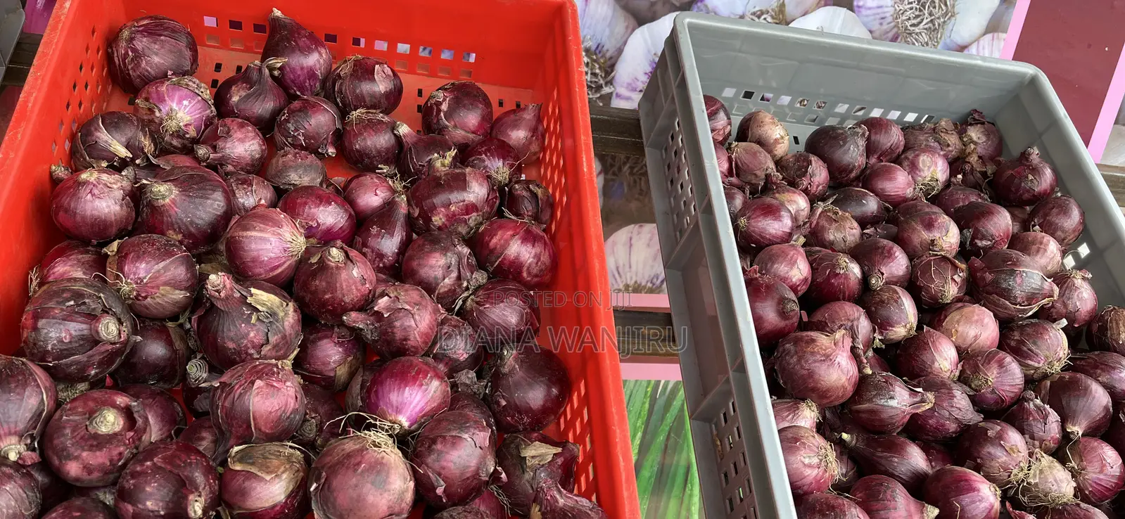 Red Onions