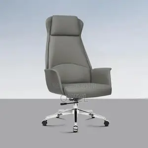Office Chair : Executive Grey Ergonomic Office Leather Chair