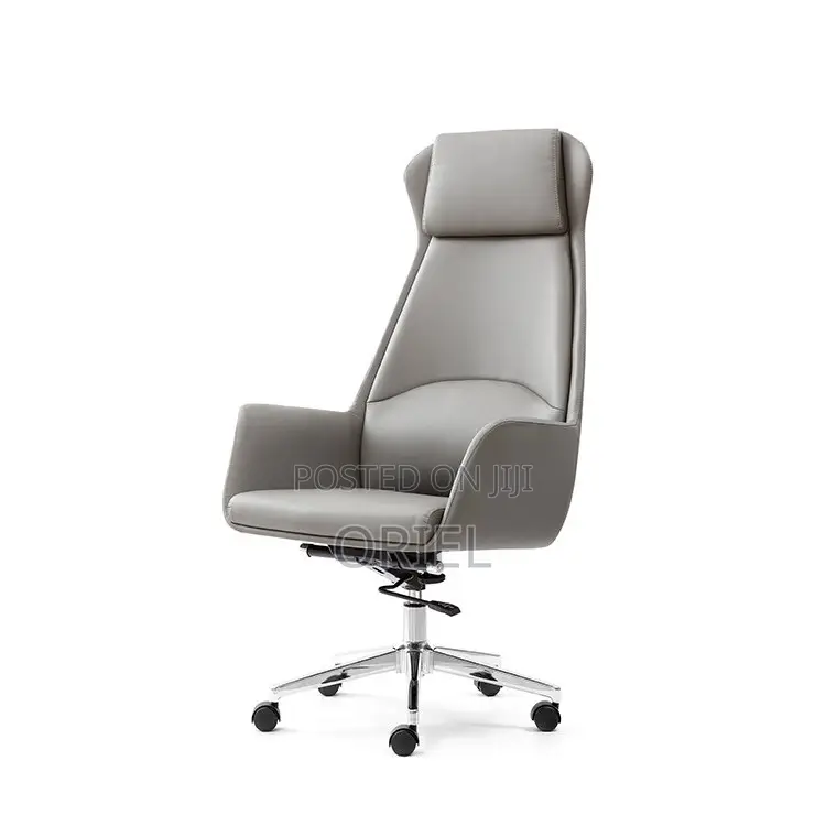 Office Chair : Executive Grey Ergonomic Office Leather Chair
