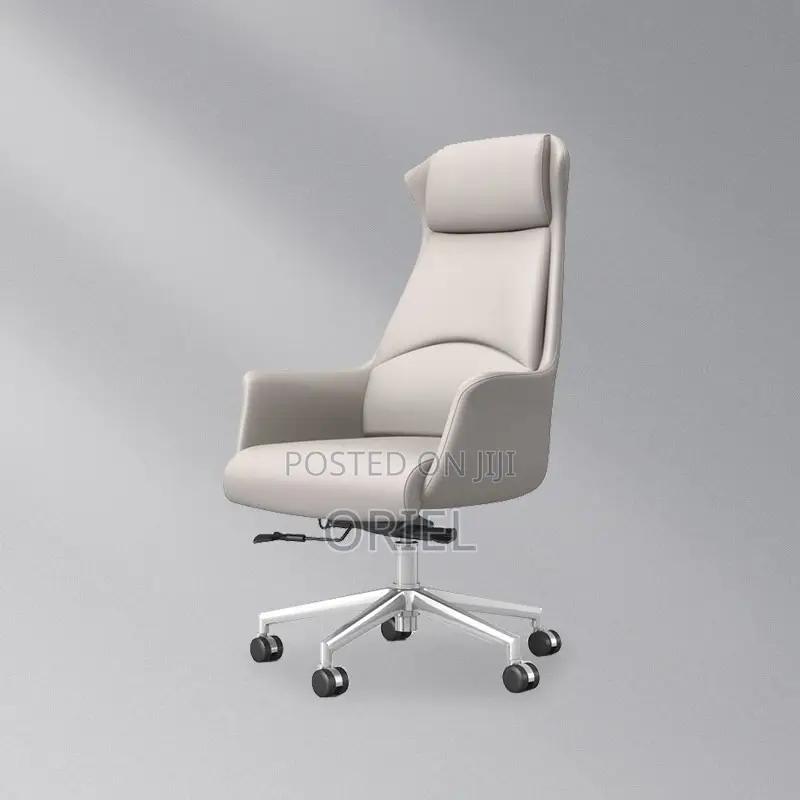 Office Chair : Executive Grey Ergonomic Office Leather Chair