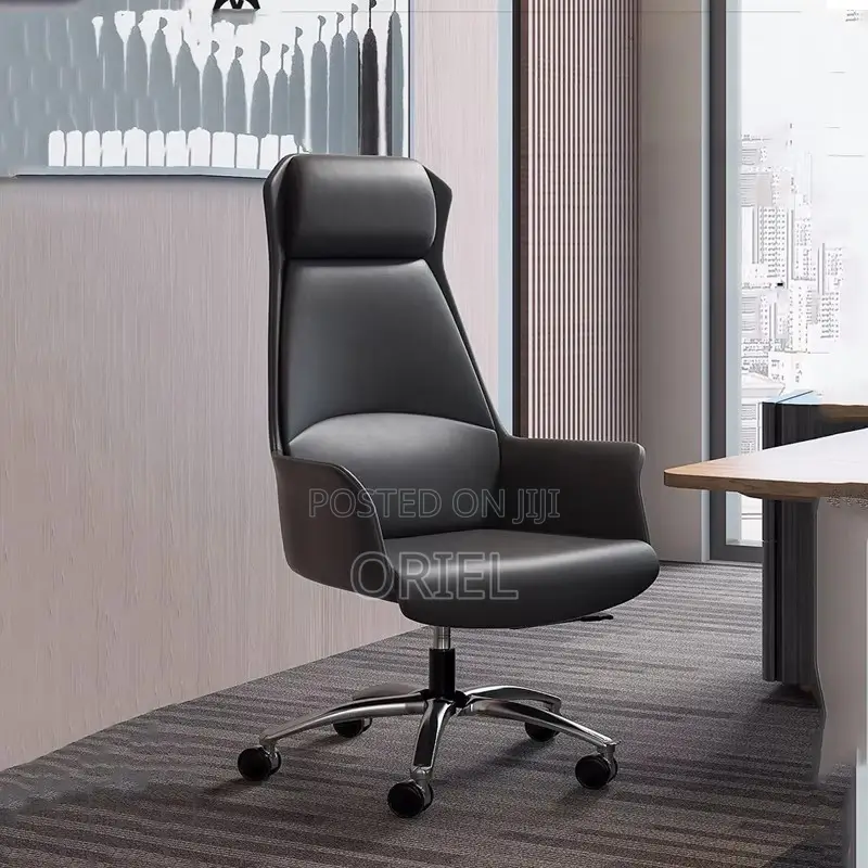 Office Chair : Executive Grey Ergonomic Office Leather Chair