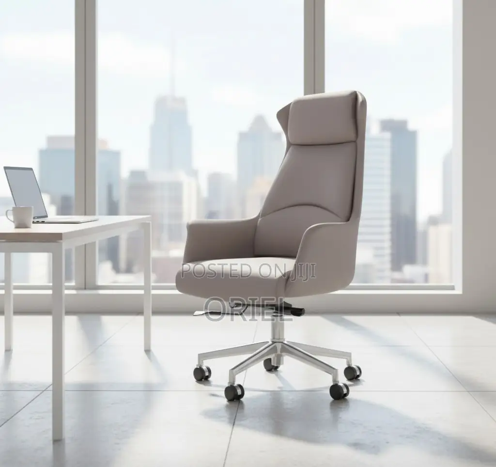 Office Chair : Executive Grey Ergonomic Office Leather Chair