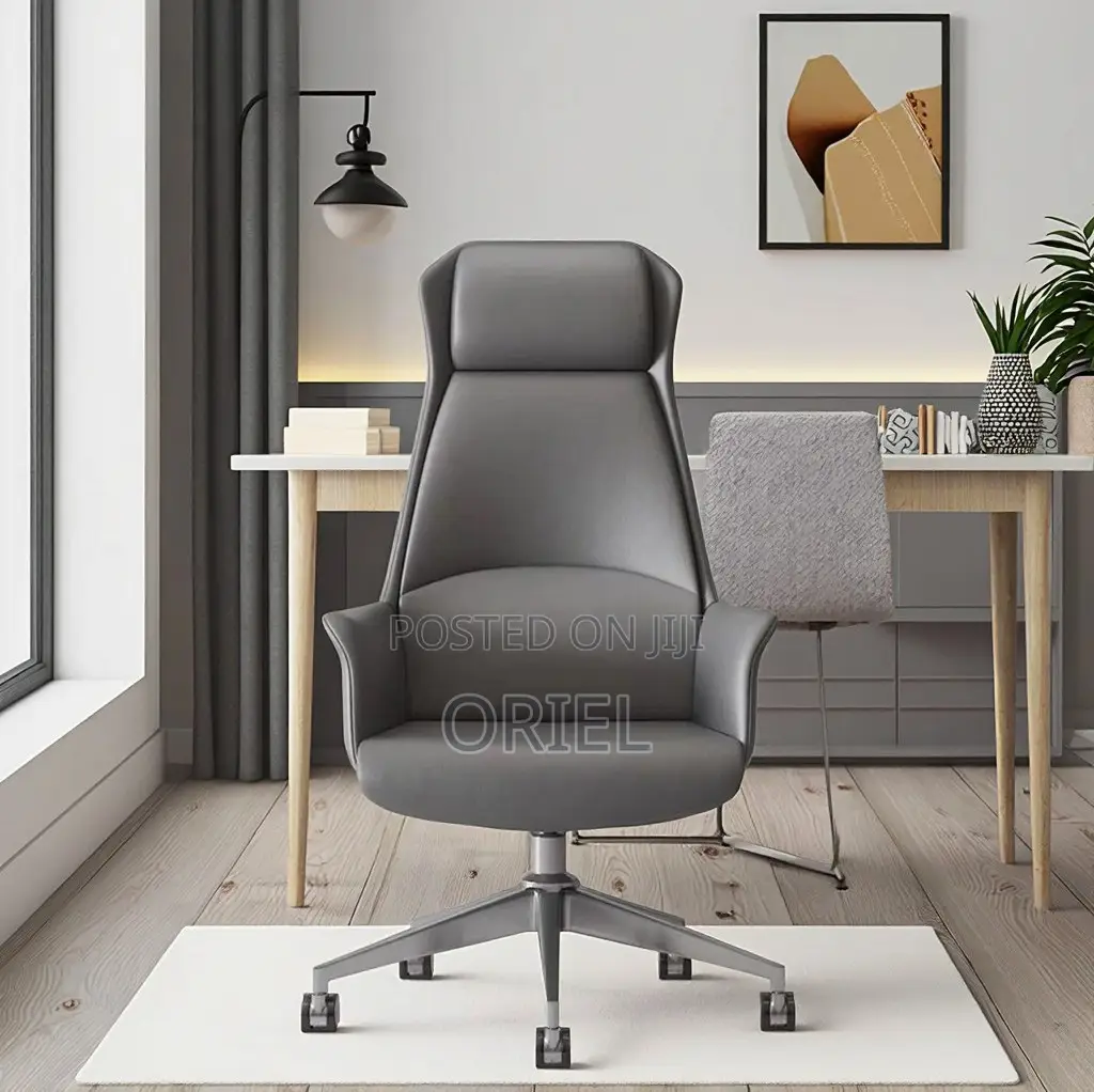 Office Chair : Executive Grey Ergonomic Office Leather Chair