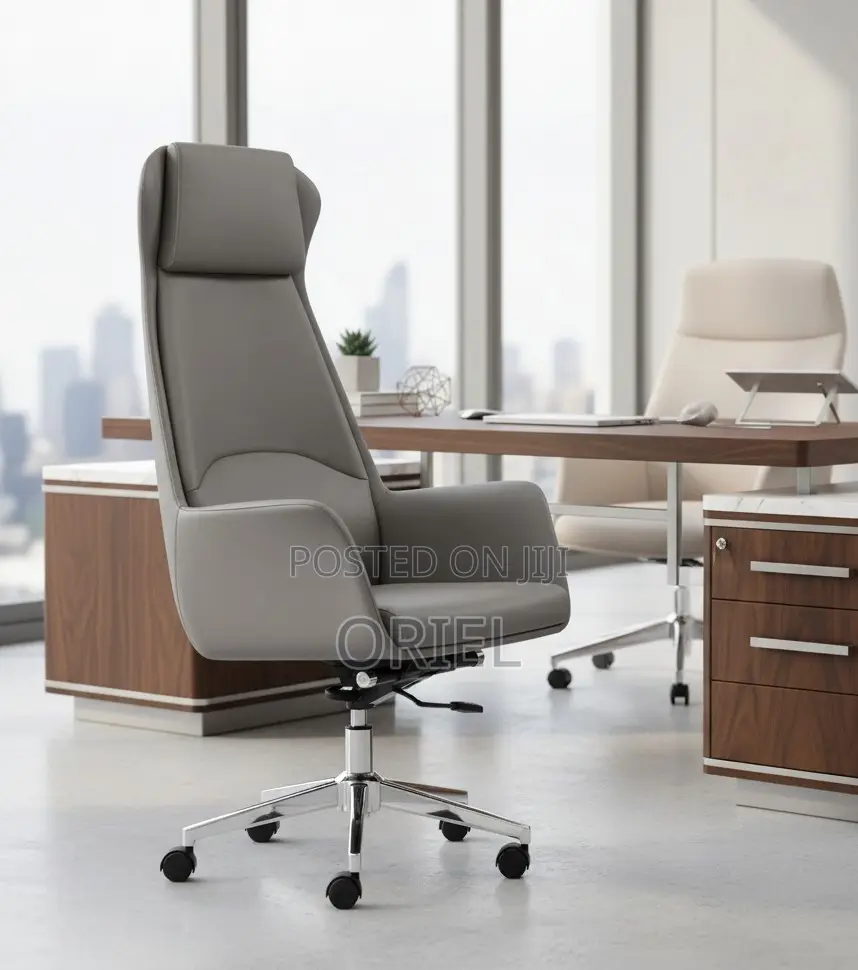 Office Chair : Executive Grey Ergonomic Office Leather Chair