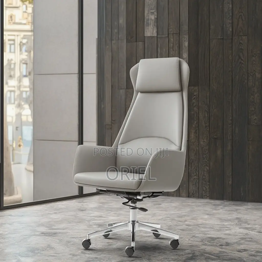 Office Chair : Executive Grey Ergonomic Office Leather Chair