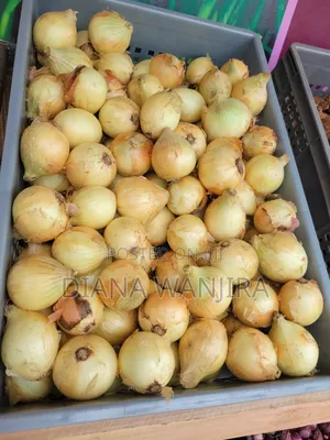 White Onions