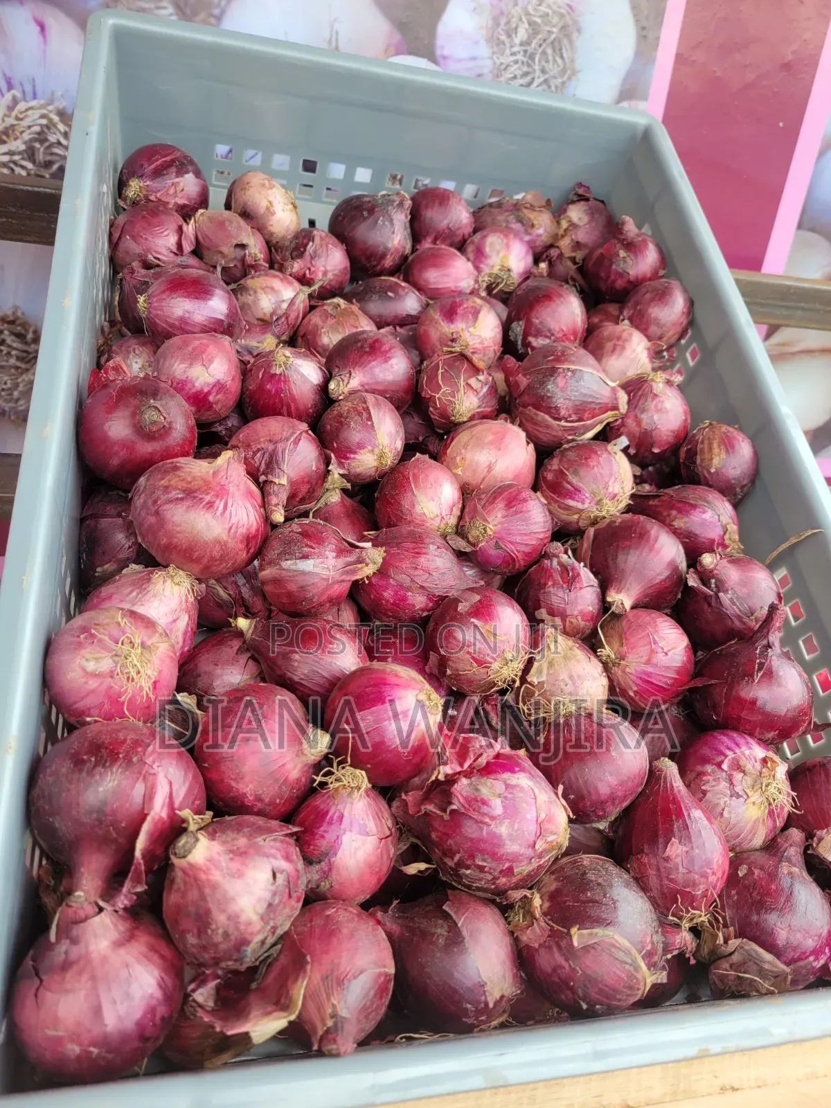 Red Onions