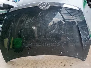 Toyota Wish 2005 Bonnet