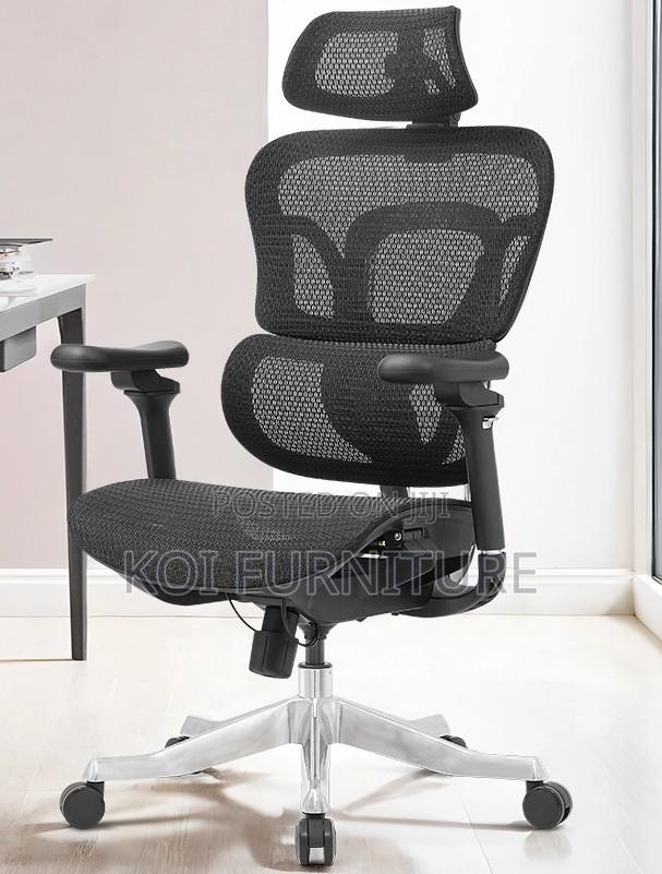 Office Chairs; Orthopedic Adjustasble Reclining Office Chairs