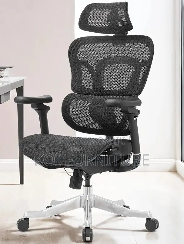 Office Chairs; Orthopedic Adjustasble Reclining Office Chairs
