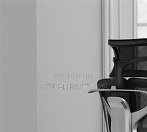 Office Chairs; Orthopedic Adjustasble Reclining Office Chairs