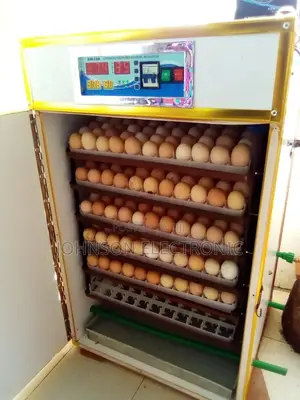 528 Gas/220v Eggs Fully Automatic Incubator