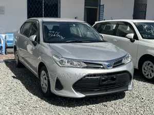 Toyota Axio 2019 Gray