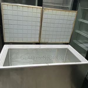 Stainless Deep Freezer