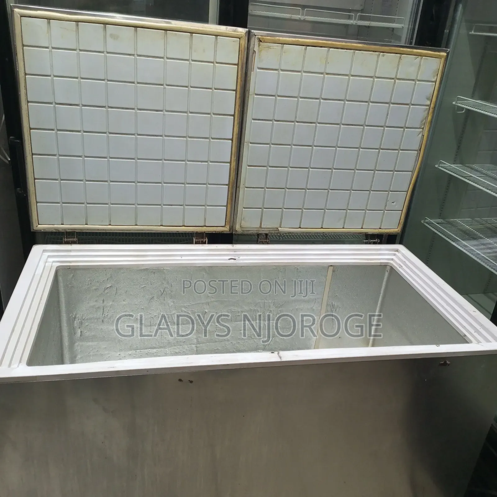 Stainless Deep Freezer
