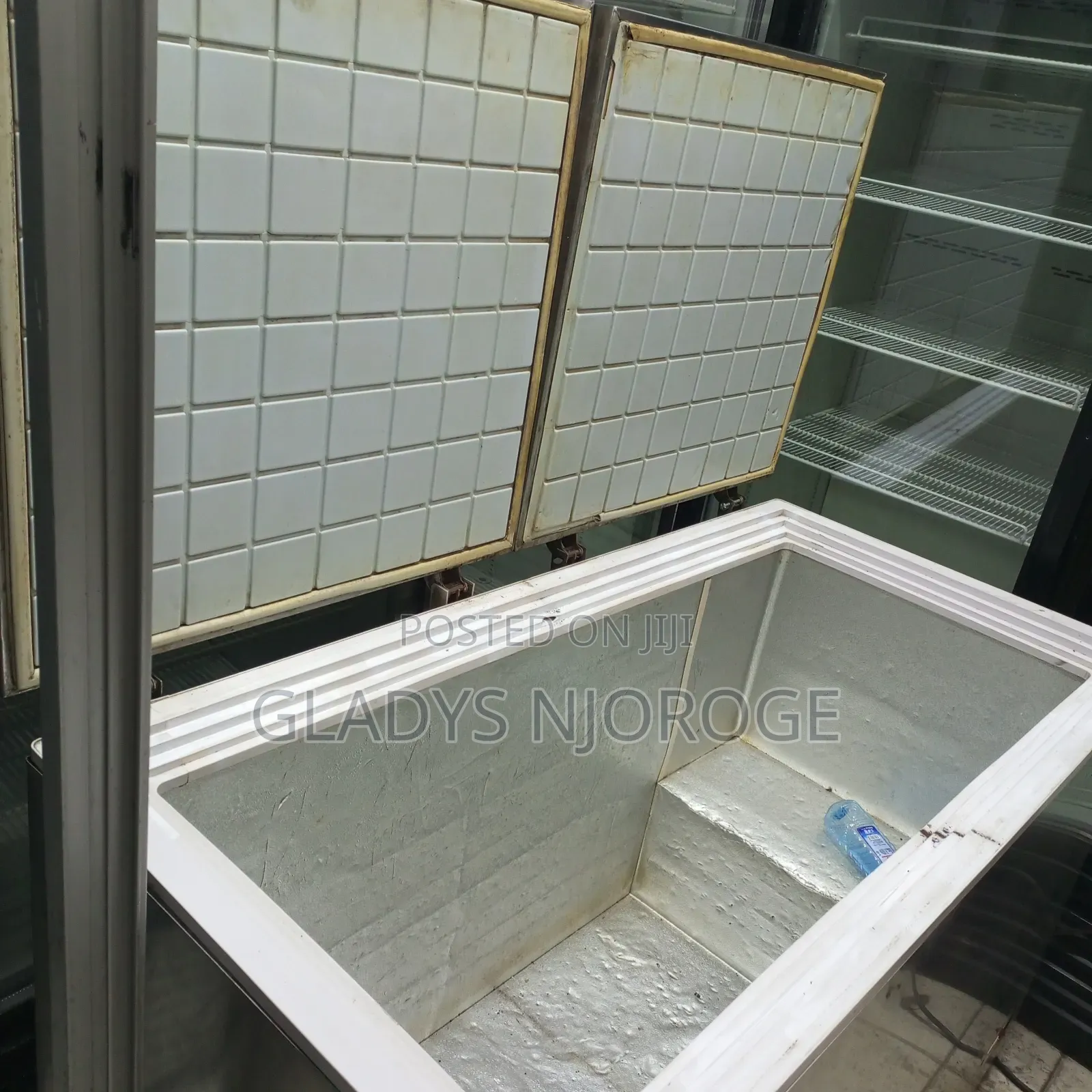 Stainless Deep Freezer