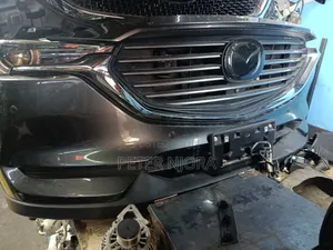 Cx-8 2018 Nosecut
