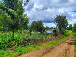 Kenol Muranga Plots