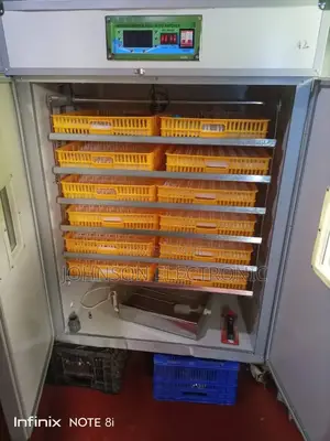 2112 Eggs Fully Automatic Incubator