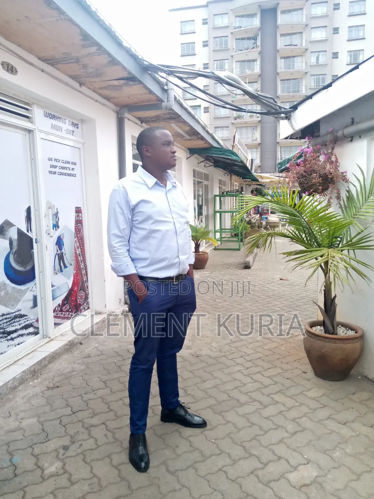 Executive/Personal/Company Driver or Sales and Marketing