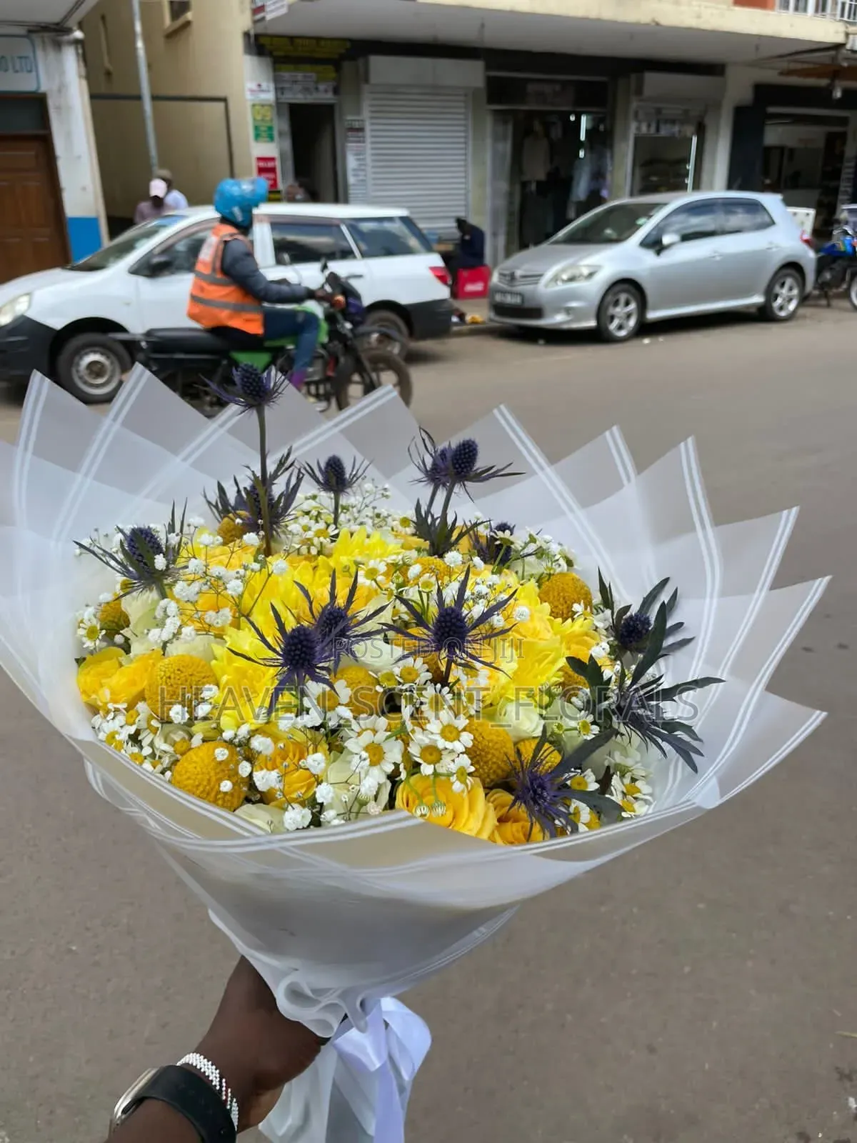 Our Mid-May Collection