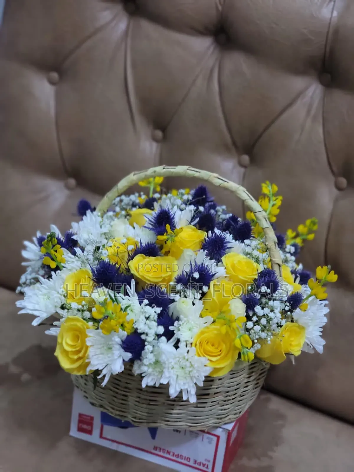 Our Mid-May Collection