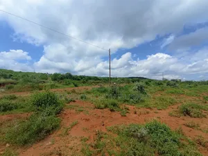 1/4 Acre Plots for Sale in Ndigiro, Kimuka, Ngong