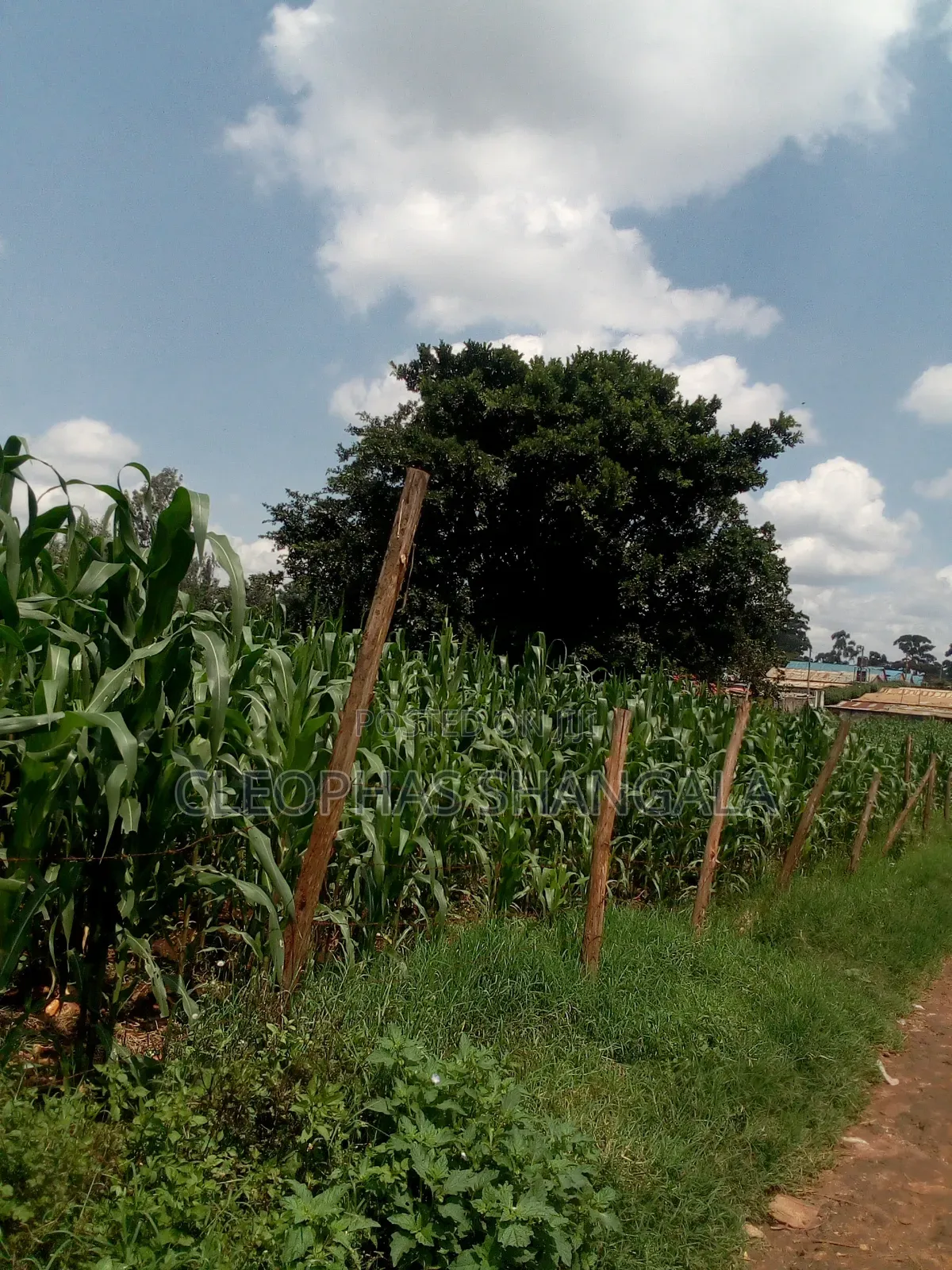 Land Plots for Sale