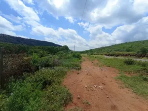 1/4 Acre Plots for Sale in Ndigiro, Kimuka, Ngong