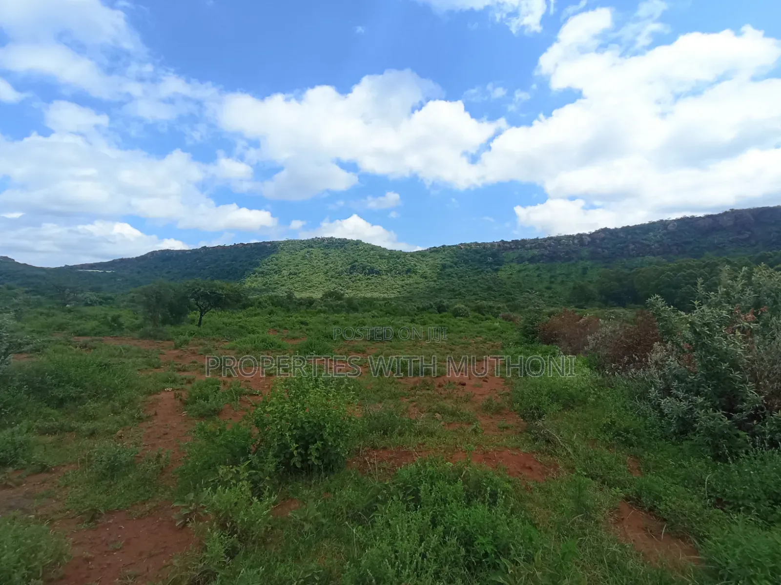 1/4 Acre Plots for Sale in Ndigiro, Kimuka, Ngong