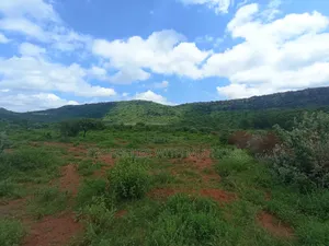 1/4 Acre Plots for Sale in Ndigiro, Kimuka, Ngong