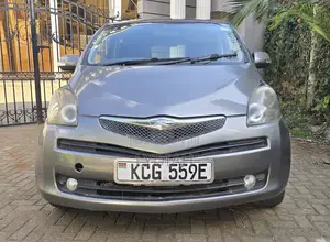 Toyota Ractis 2009 Gray