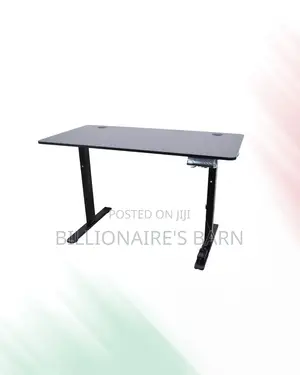 Stylish Single Split Full Electric Standing Desk Compact Sit Stand
