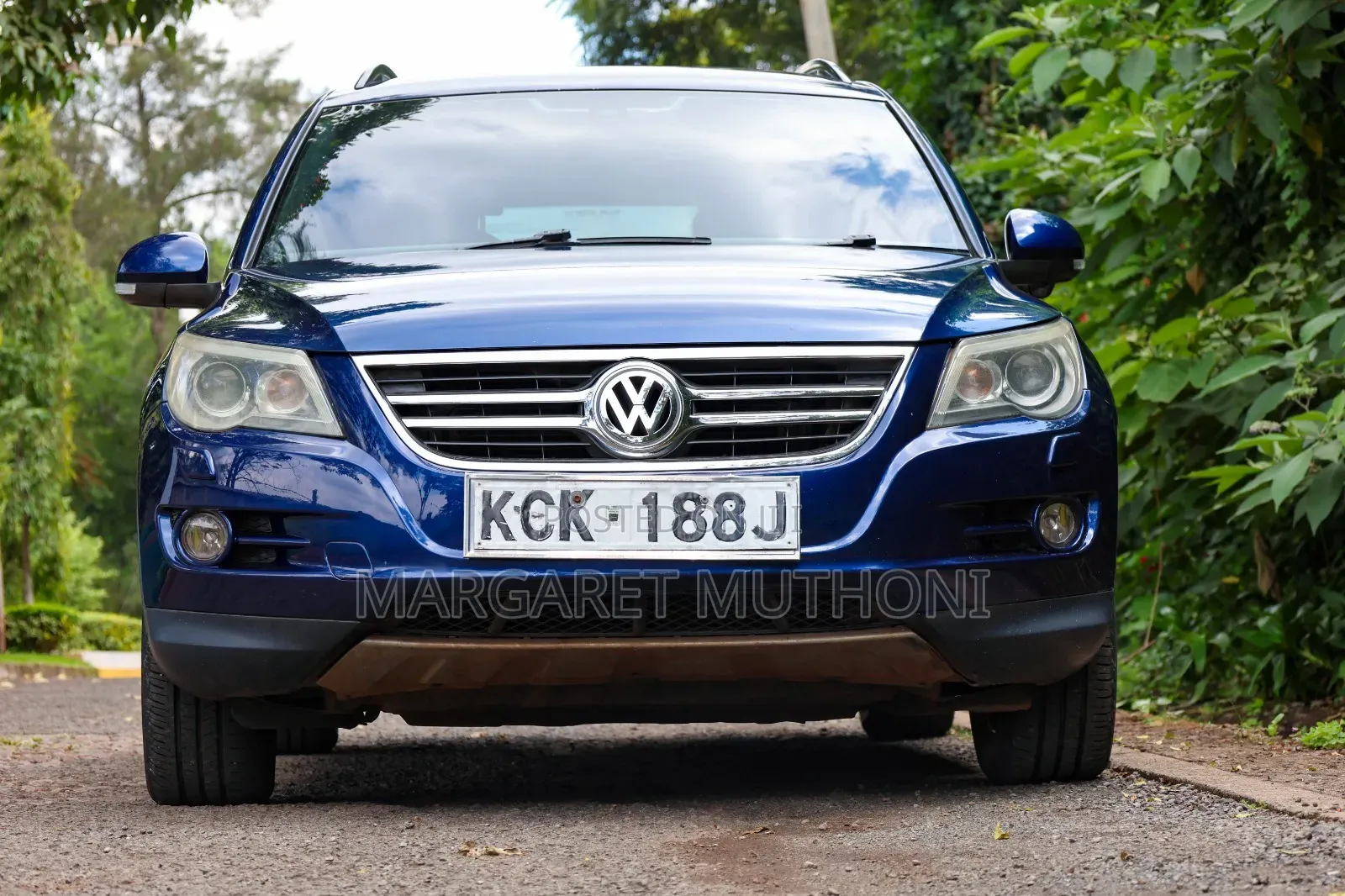 Volkswagen Tiguan 2009 Blue