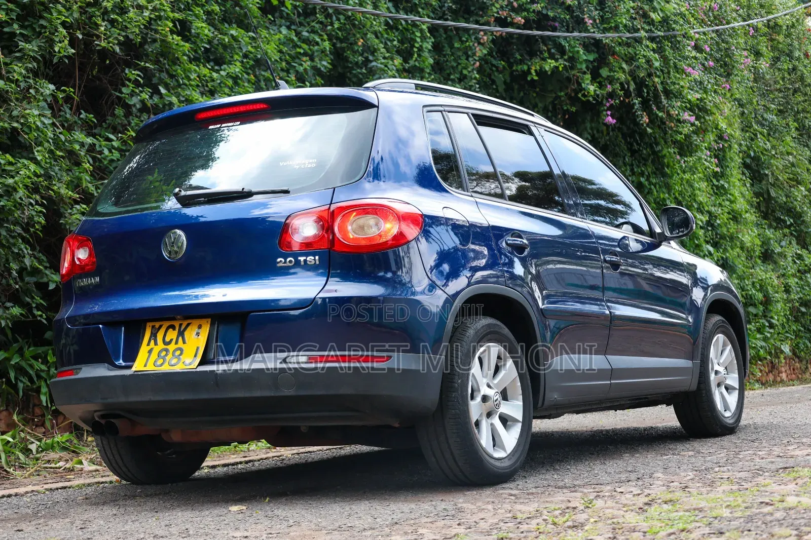 Volkswagen Tiguan 2009 Blue