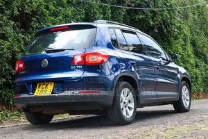 Volkswagen Tiguan 2009 Blue