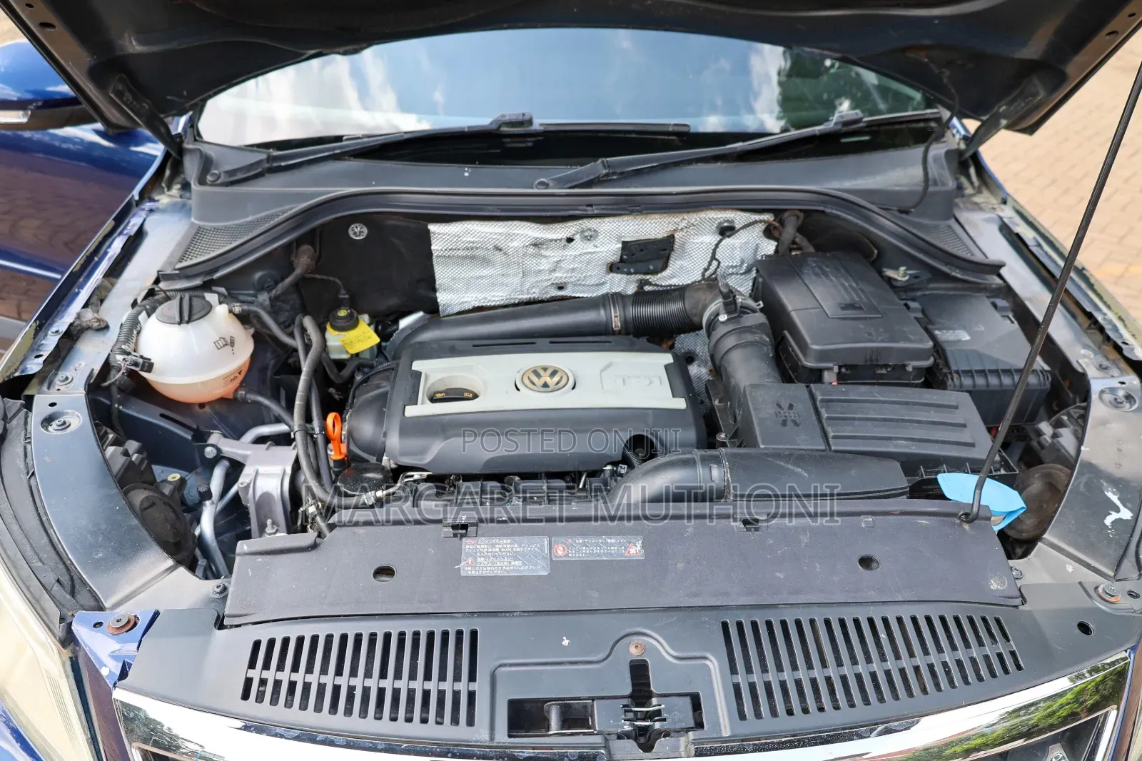 Volkswagen Tiguan 2009 Blue
