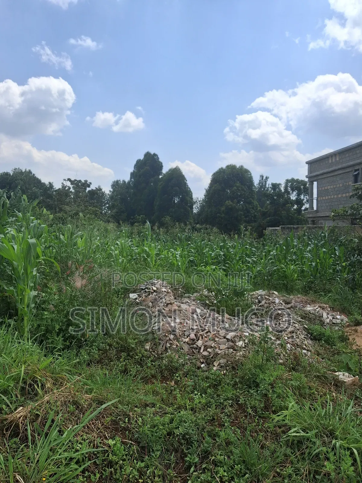 Kamiti Ridge Estate Prime Well Drained Residential Red 50x100 Plot