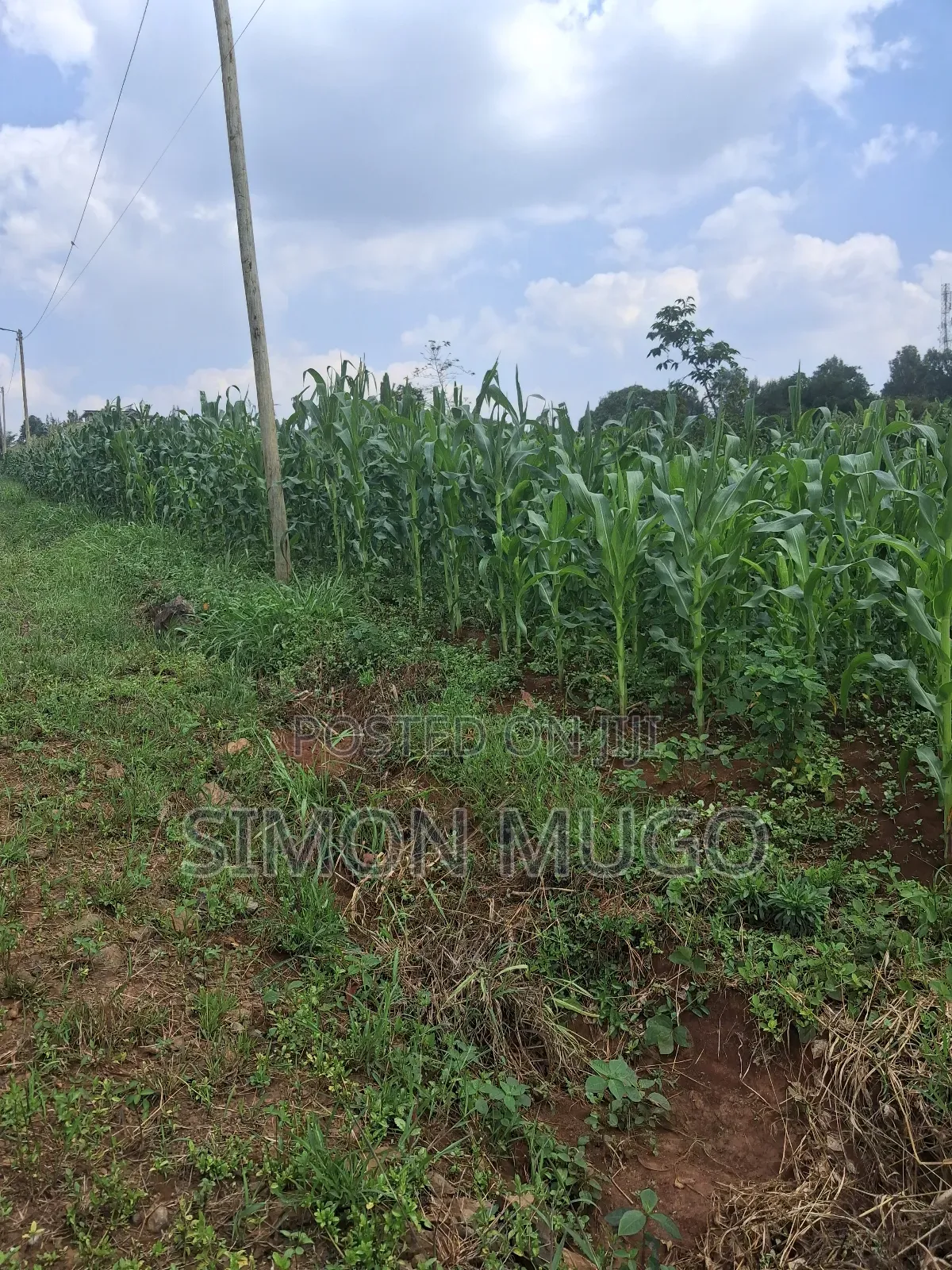 Kamiti Ridge Estate Prime Well Drained Residential Red 50x100 Plot